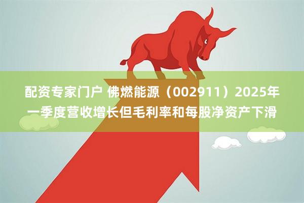 配资专家门户 佛燃能源（002911）2025年一季度营收增长但毛利率和每股净资产下滑
